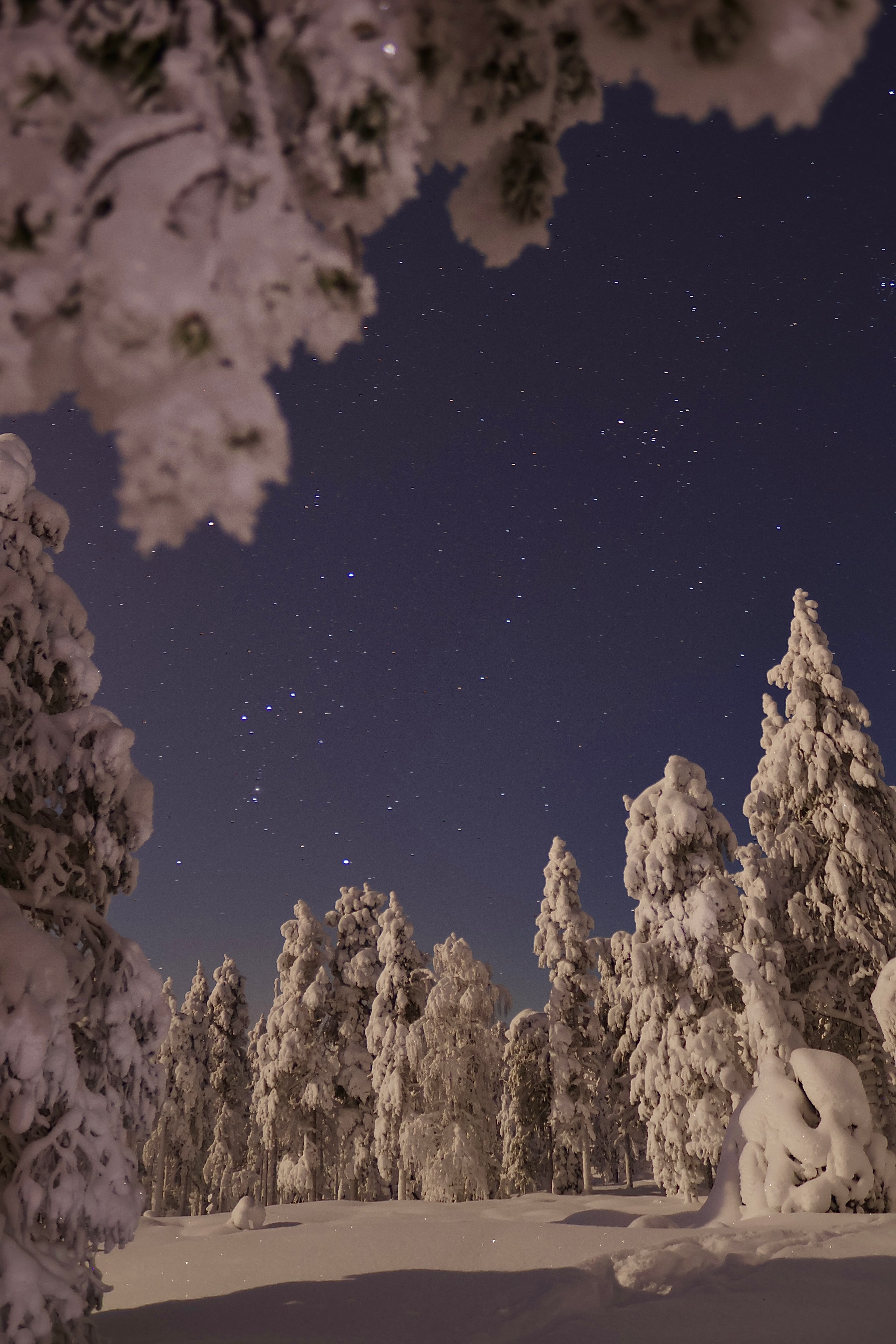 Lapland.JPG